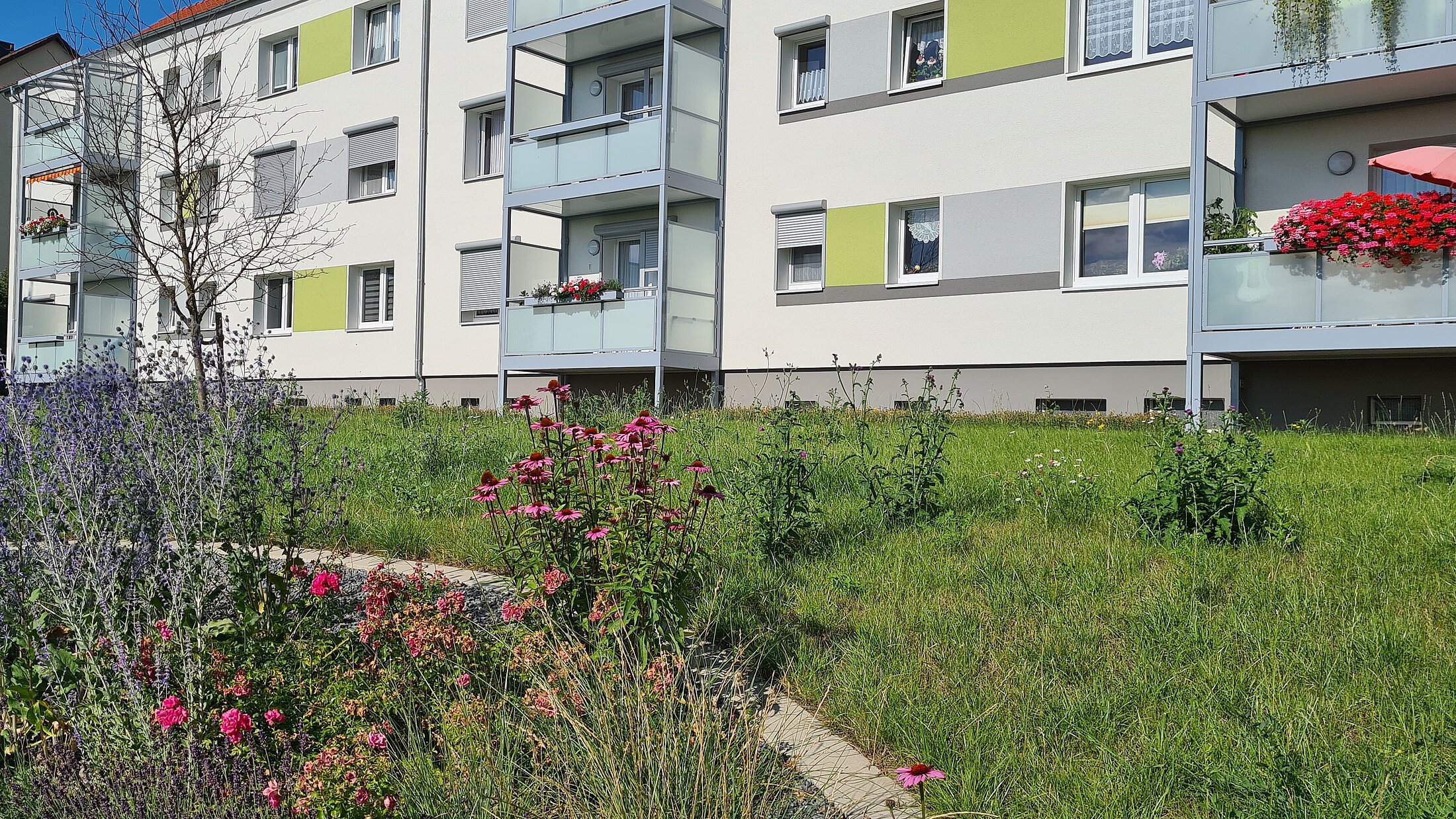 Wohnungsgenossenschaft Hettstedt Gebäude